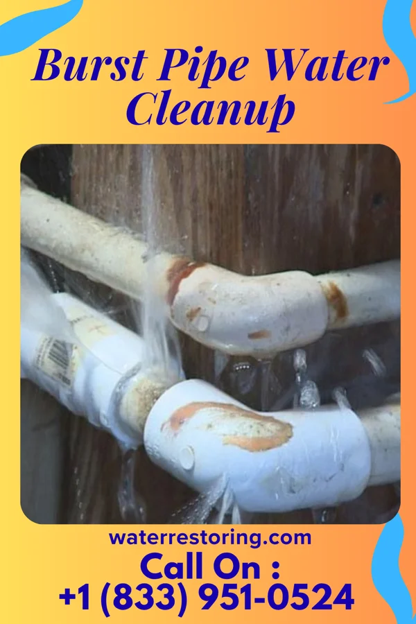 Burst Pipe Water Cleanup in Emma, MO